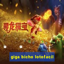 giga bicho lotofacil