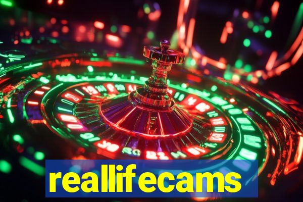 reallifecams