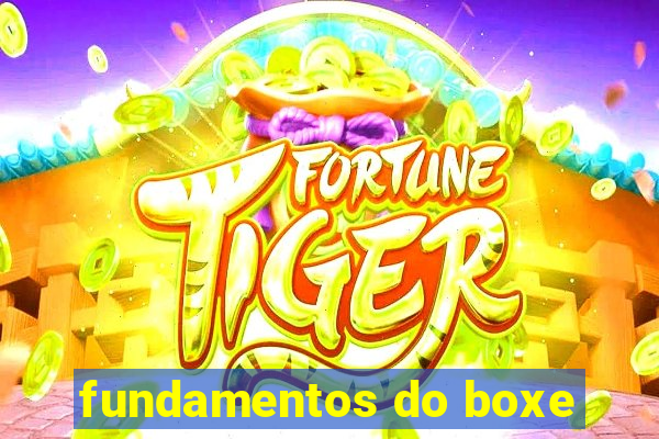 fundamentos do boxe