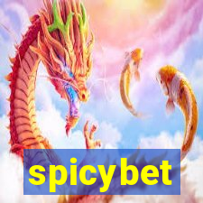 spicybet-2.com