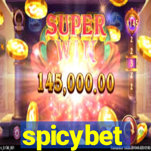 spicybet-2.com