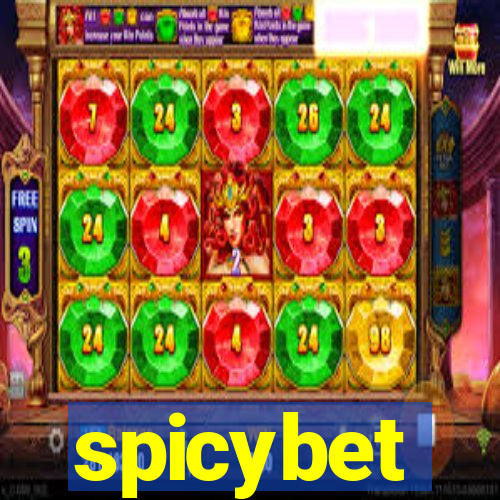 spicybet-4.com