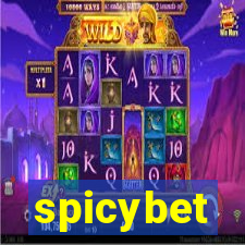 spicybet-4.com