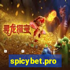 spicybet.pro