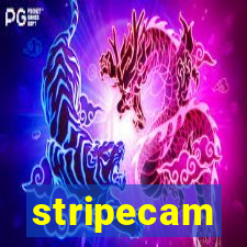 stripecam