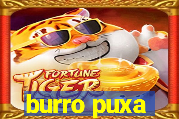 burro puxa